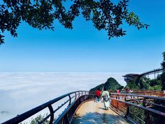 -少华山国家森林公园