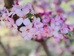 -海棠花溪(元大都城垣遗址公园)