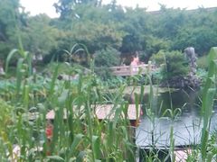 -东山雕花楼