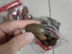 -阿迪蜜饯店(八市店)