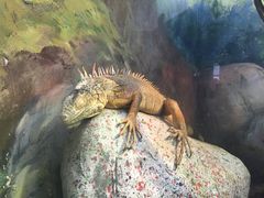 -福州罗源湾海洋世界旅游区