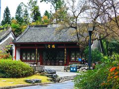 -柳侯公园
