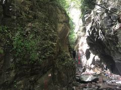 -黑河国家森林公园