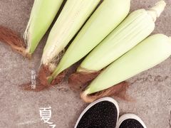-上海都市菜园