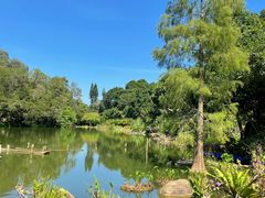 -深圳仙湖植物园