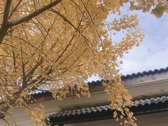-石塘人家