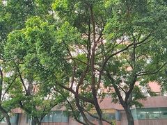 -广州中国大酒店