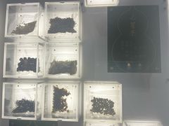 -广东中医药博物馆