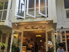 -Fern Forest Cafe
