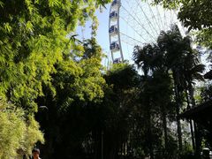 景点-布里斯班南岸公园