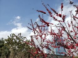 -北京漾格医疗美容医院