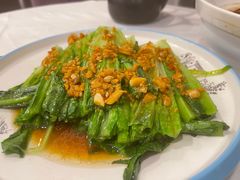 特色捞起油麦菜-海宝酒家(中山四路店)