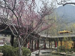 -华清宫景区