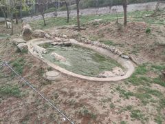 -石家庄市动物园