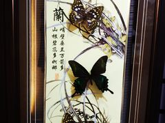-蝴蝶泉公园