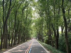 -同里国家湿地公园
