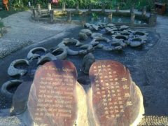 -成都市活水公园