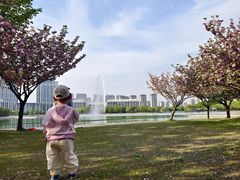 -尚贤河湿地