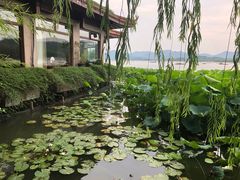 -湖畔居茶楼(湖滨店)