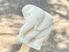 -上方山森林动物世界