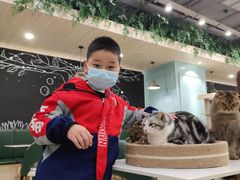 -安格丽娜·狗咖·猫咖羊驼咖(春熙路百盛商场店)