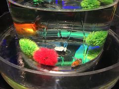 -海合安青岛极地海洋公园