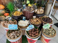 -菌彩云南野生菌火锅(万达广场店)
