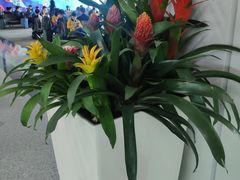 -福州长乐国际机场