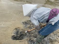 -北海金海湾红树林生态旅游区