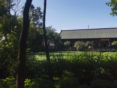 -巴山一绝烤全羊(三圣乡刘家花园店)