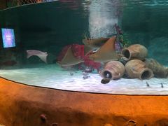 -沈阳海洋探索中心