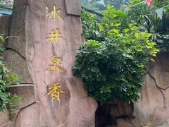 -白云山风景名胜区