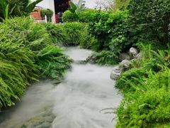-泸州老窖景区