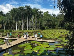 -中国科学院西双版纳热带植物园