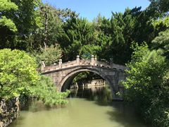 -上海醉白池公园