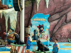 -海合安成都极地海洋公园