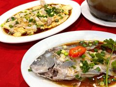 -先鲜鲫鱼粥