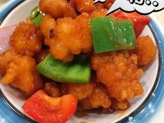 -喜上喜鸡煲翅(吉大店)