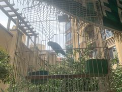 -忆江南·临江鱼馆