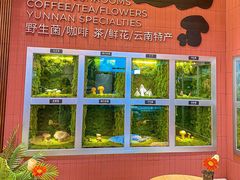 大堂-芸山季·云南野生菌火锅(宝能环球汇店)