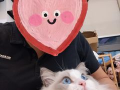 -猫遇摄影工作室