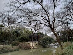 -盆景园(扬州大运河文化旅游度假区)