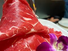 -川西坝子(老军营店)