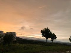 -原山国家森林公园