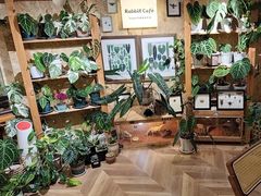 -Rabbit Cafe私房西餐甜点咖啡(栖霞路店)