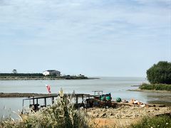 -洪湖湿地生态园