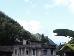 -MOJ coffee(瓯海泽雅水碓坑店)