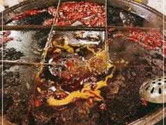 -酒友老火锅(渝中店)