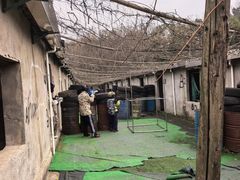-东湖小天池真人CS彩弹野战基地