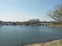 -大兴滨河森林公园